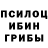 Галлюциногенные грибы Psilocybe Nastyha Patriha