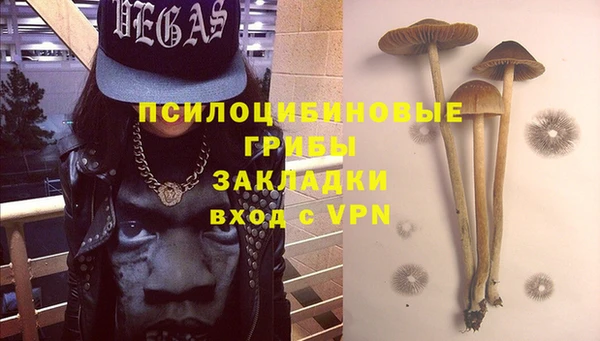 mdpv Бронницы