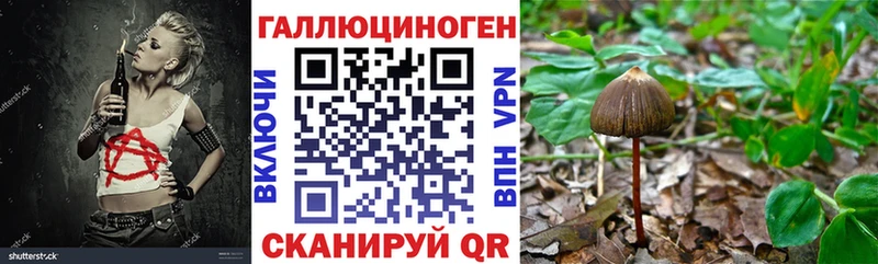 Галлюциногенные грибы Psilocybine cubensis  Купить закладки  Белореченск 